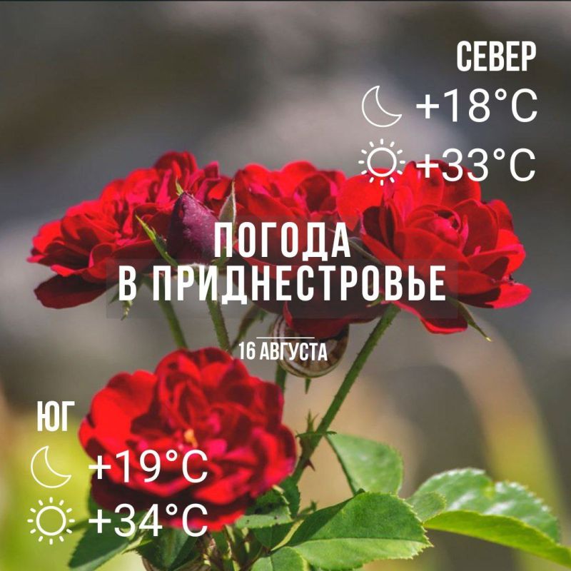 ���� � �� +34��. ��� �������