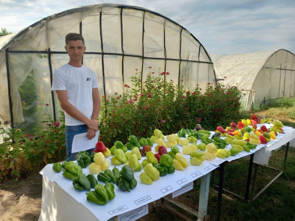 ���������� �������� �������� ����� ������������ � ��������������� ���