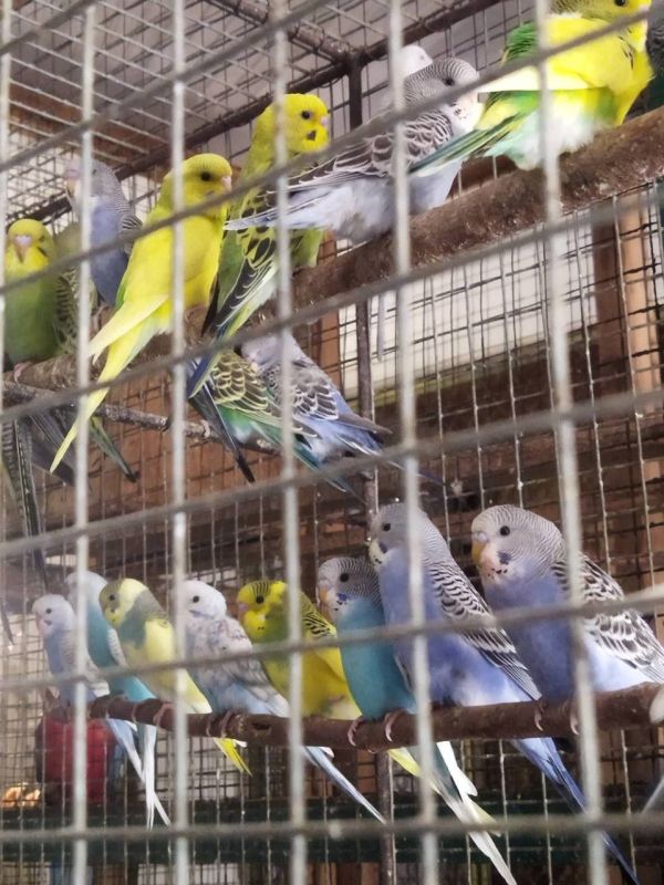 ������-����� � �������������� ����� � � ��� ���� ���� �������� ������ �������