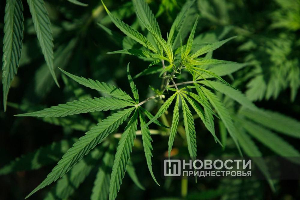 �������, ������� ��������� � ���� �� ������� ��� � �������, ��������� � ��������