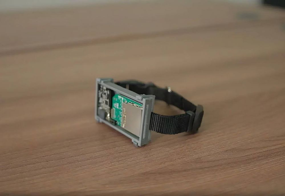 � ������ ����������� ���������� �������, ������� ������ �� ��������� ����� ����� �� � ��������!