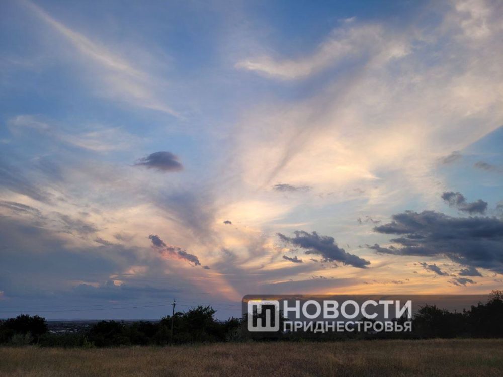 Казацкая лошадь Прима на фоне красивого заката в селе Бычок в Григориопольском районе