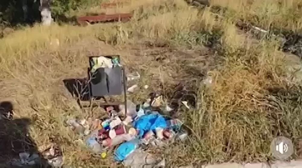 ��� � ����������� ������ ������� �������� �������� ����������, ����������� �����-����������� ��������