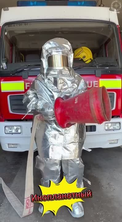 ���� ���� �������� � ���� ����� ���-���� ������ � �����