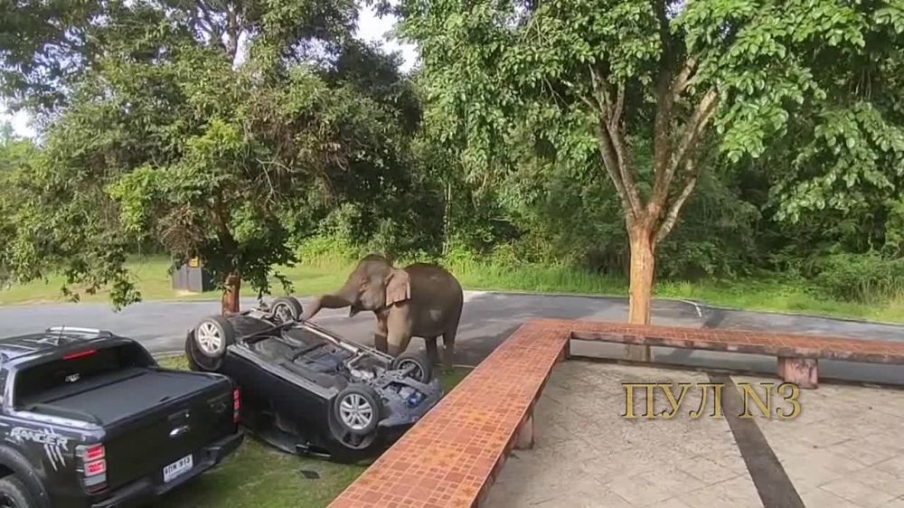 ��� � ���� �������� �������� � ������� ����������� ����������, ����� � ��� �� ���������� ����: �� �������� ����� �������� �...