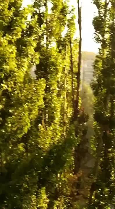 ������ � �������: ������, ����� � ������