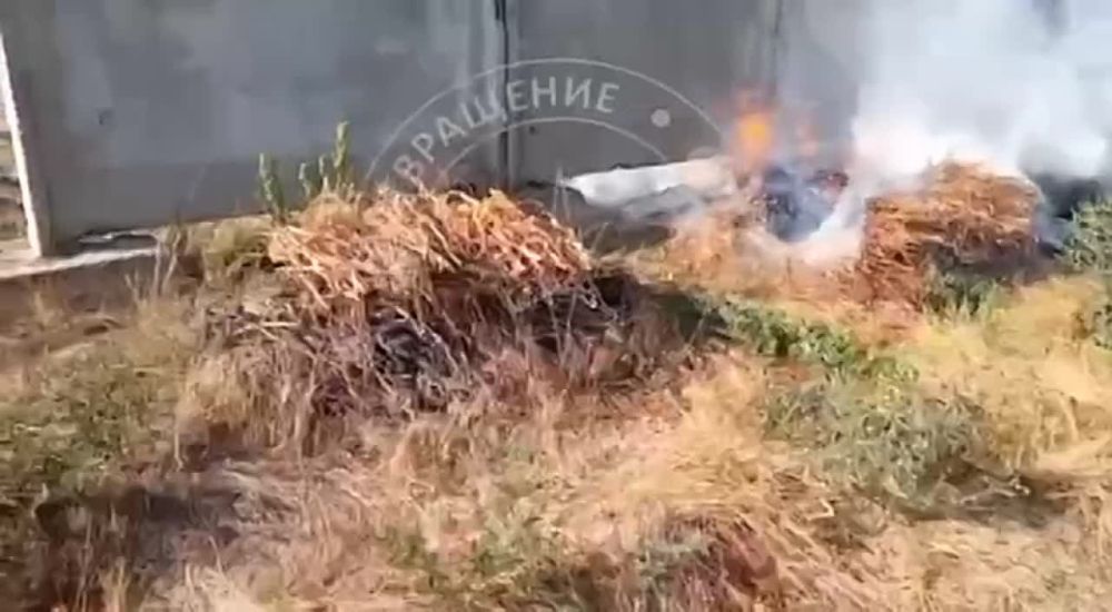 ����� ����� ����� � ���������