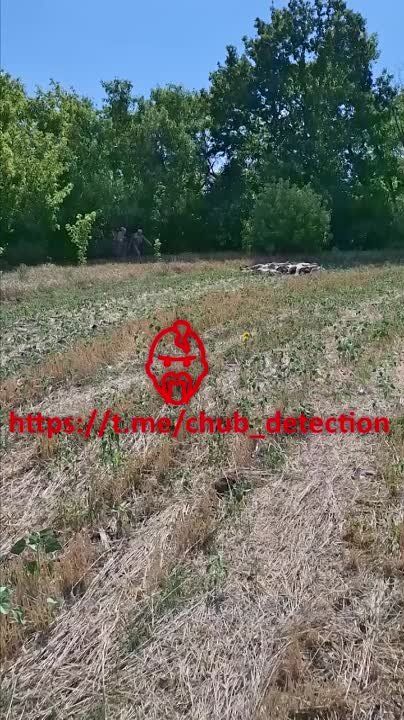 ������������ ���������, ������������ ����������� �������� � ������� �������