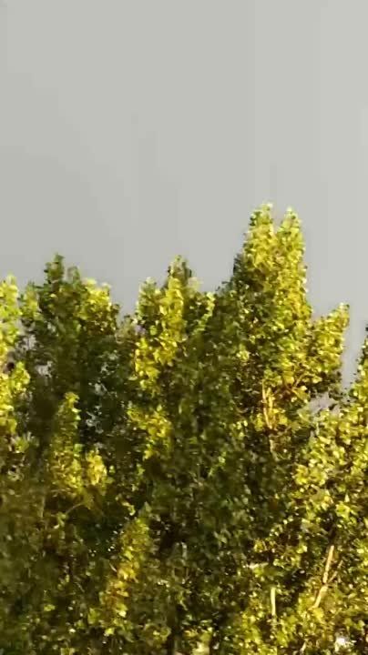 � ������� ��� ��������� �����