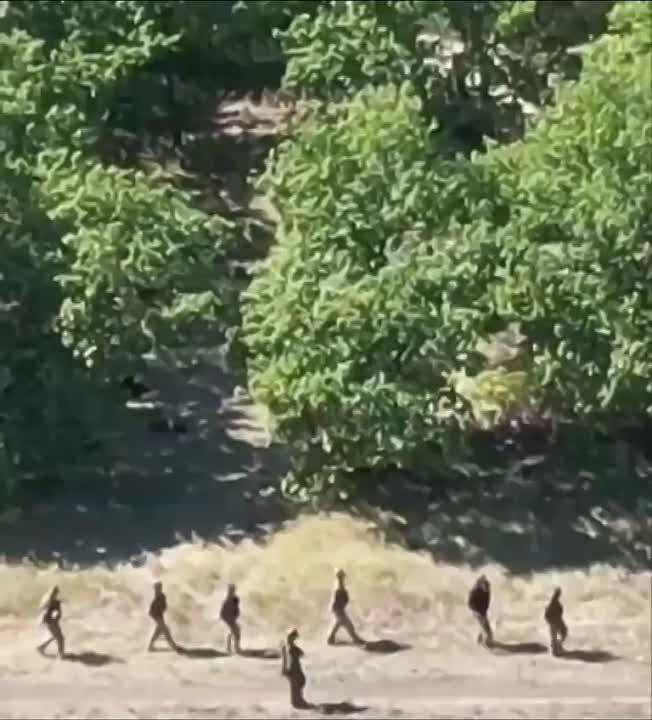 24 �������������� 22-� ��������� ���������� ��� ������� � ���� � ������ ��������� ������� �������