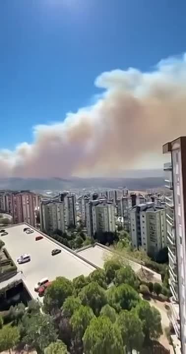 �������� ������ �� ������� ��������� ������ ����� ������, ������� ������� ������� ������, � ������������ ��������