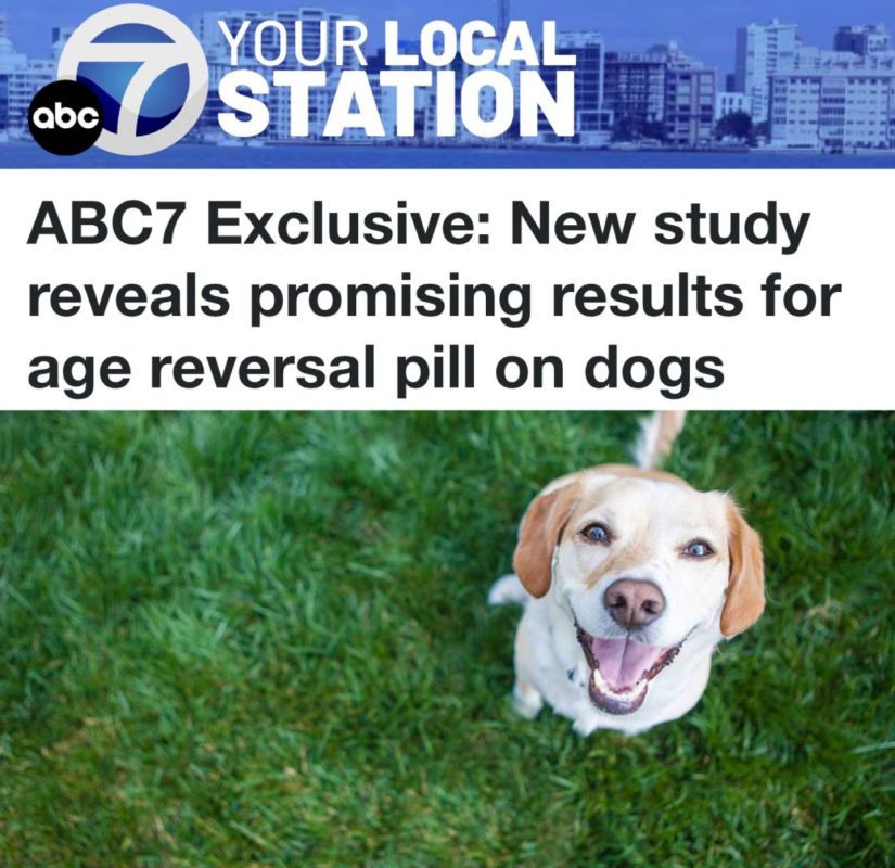 ������ ������������ ���������� �������������� ���������� ���������� ��������, ����������� �������� �����: ������ ����� ���� ������ � ������ ����� ������ �������� ��������