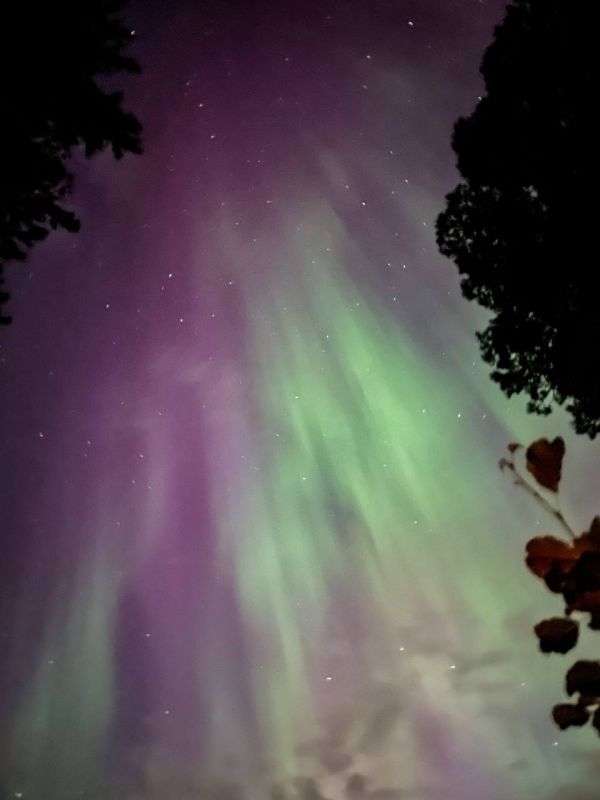 ����� ������ ��������� ���� �������� ������ ���� ����� ����� ��������� ������ �������, ������, �������, �����������, �����������, ������ � ������ �������� ��