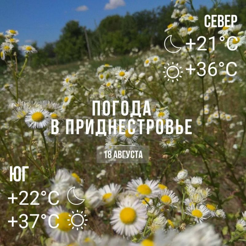 ���� � �� +37��. ��� �������