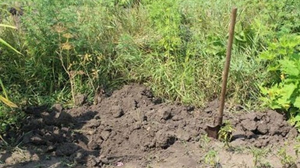 ������� ������� � ������� 25 ����� ��������, � ����� �� ����: � ������������� ������� ���������� ������ � ������� ��������