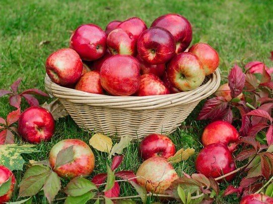 ������� �������� ������������ ��������