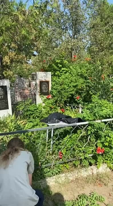 � �������� ���������� ����� ������ ������