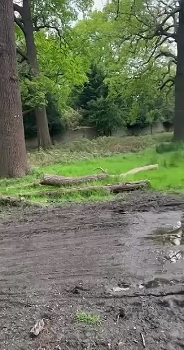 ������ 10 �� 10