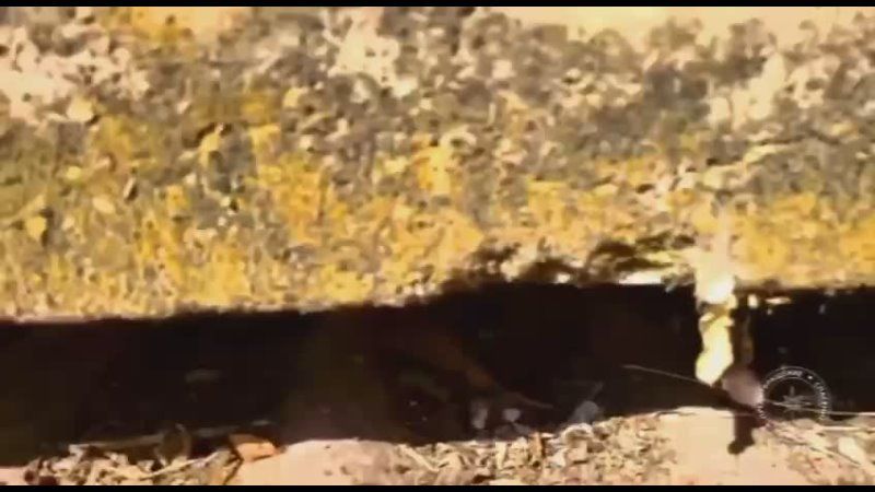 ��� ����� � ����������� �����!