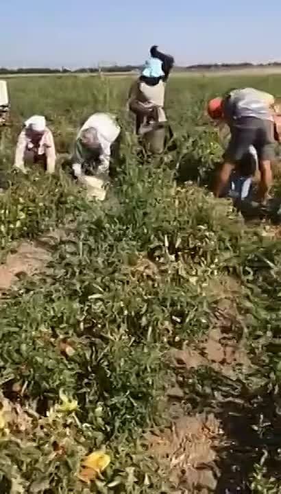 � ���� ������� ���������� ������� ������ ������ �������