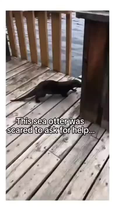 �������, ��������� ����������� �� ������