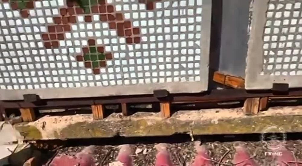 ����������� ���� ������ � ���������� ����������� �����