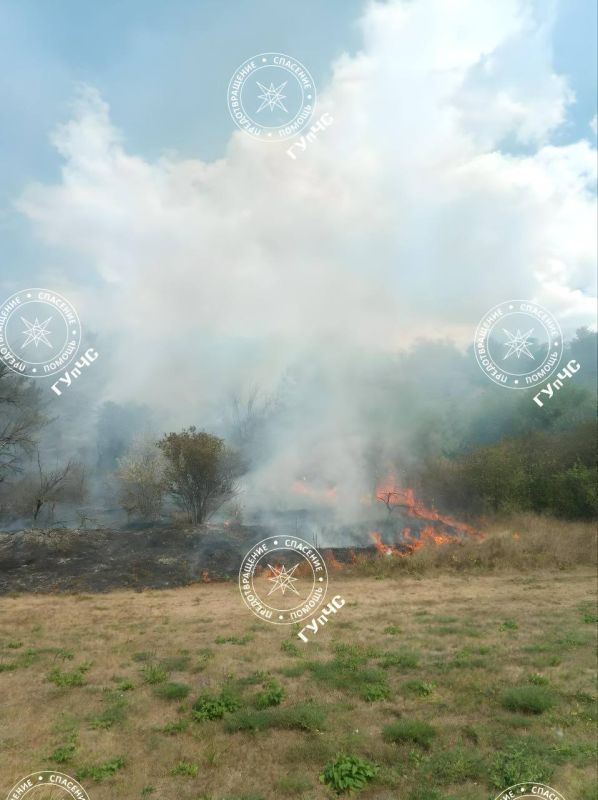 �� ��������� ����� � ���������� ������� 34 �������: ����� �����, ����������� � ���������� ���