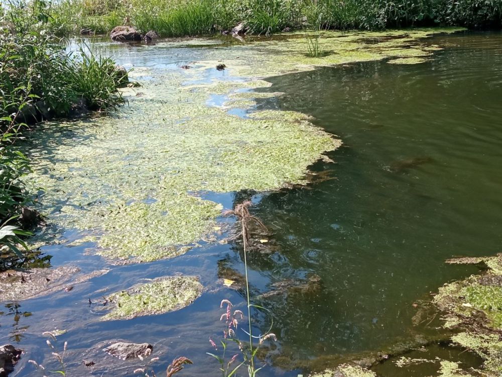 ������� ����������� � ���� ������