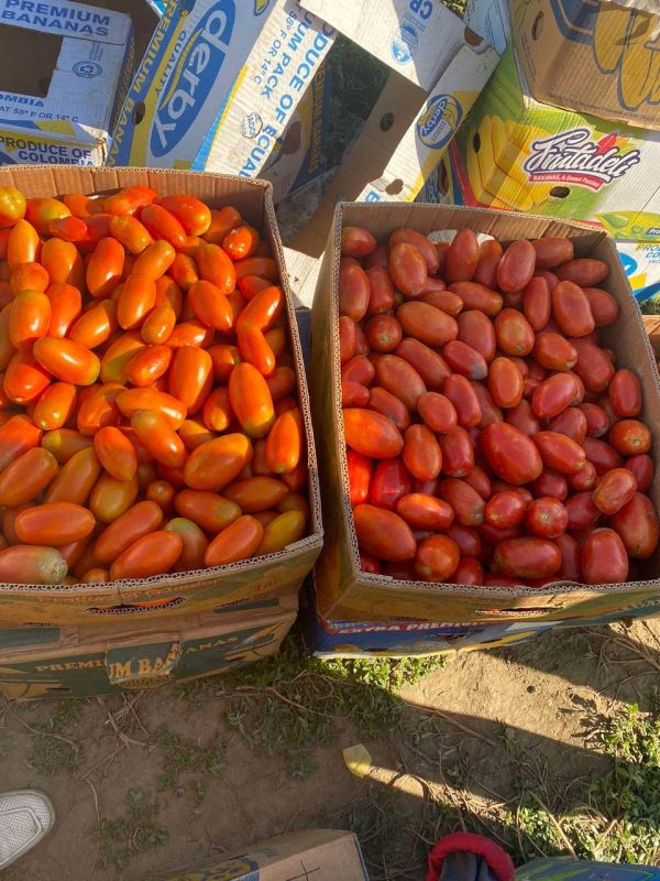 � ������������� ������ ����� ���� ������ �������� �������� ��������