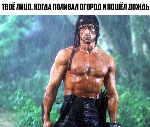 ��-�� ���� �������� �� ������ ��, �� � ������, ��������� � ��������