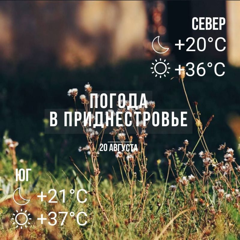 ���� � �� +37��. �� ������ �������� �����