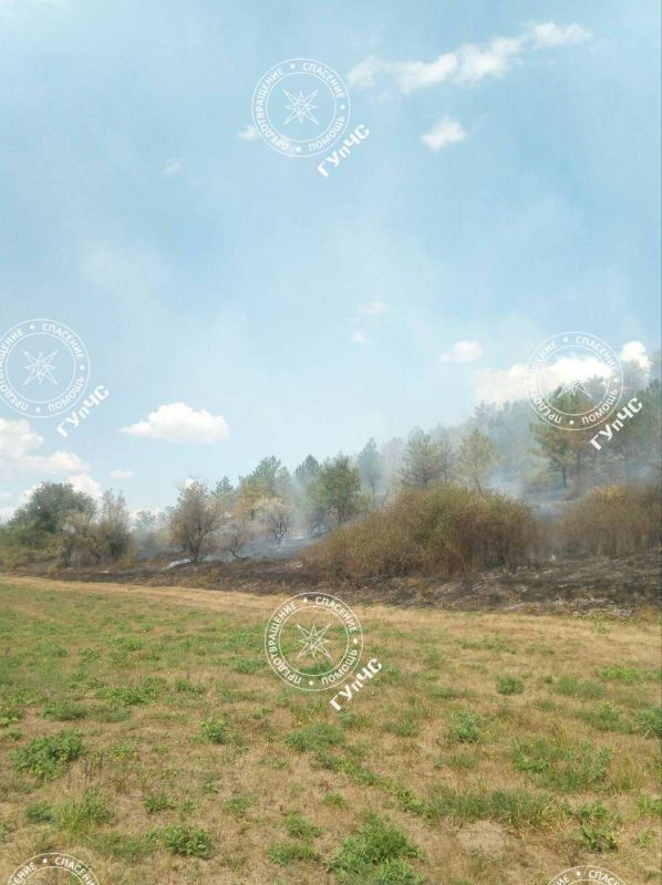 �� ����� � ���������� ������� 34 �������: ����� �����, ����������� � ���������� ���