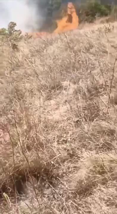 �����������, ���������� ��� � �������� ������� ����� ����� ������� � ������������� ������ �� ���� ����, 19 �������