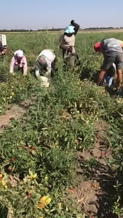 ��� "��������" ���������� ������� ���� ������ ������� �� ����� ������� � ���� ������� �������������� ������