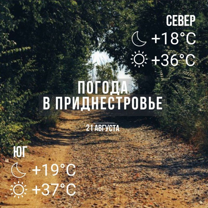 ���� � �� +37��. ��� �������