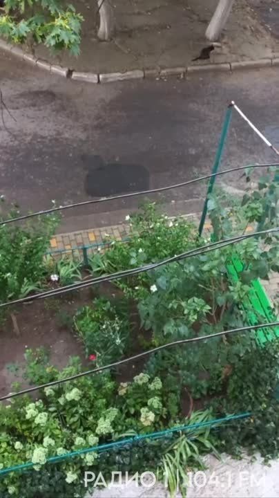 ���������, ����� ���������! ������!