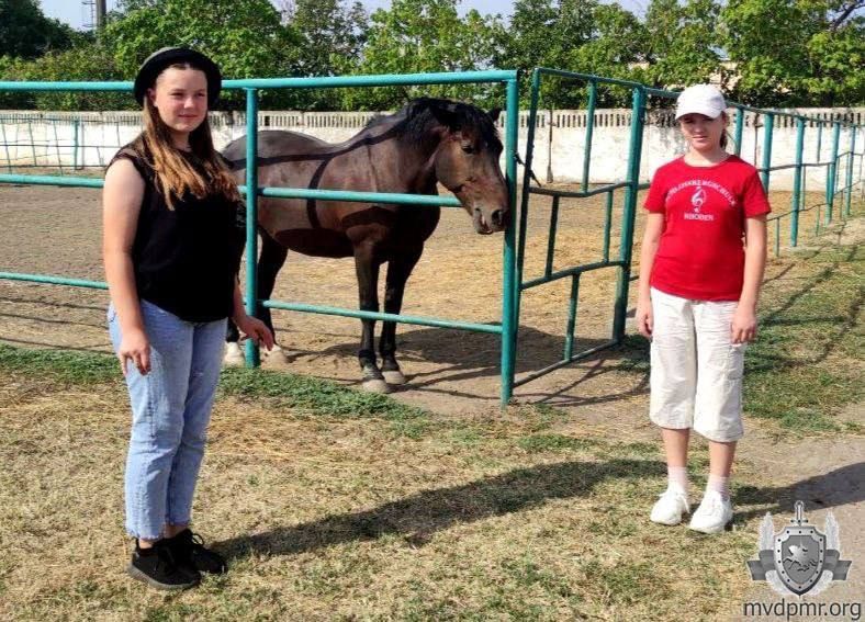 �������������� ���������