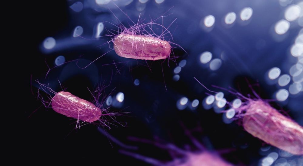 �������� �� ��� � ���������� ���������������