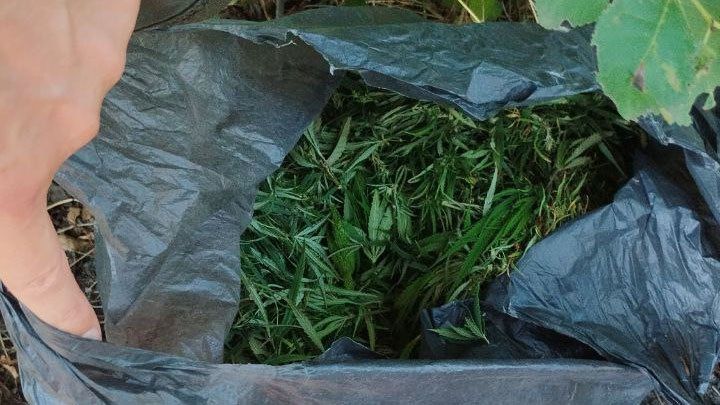 ���������� �������������� ��������� ��� ������ ��������������� �������� ������ ������� � �������� ��� ���� ������������ ������� ��������