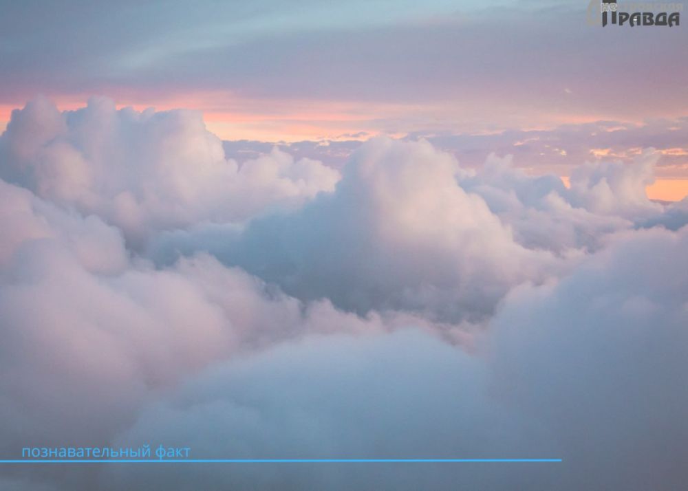 ������ ����� ��������� ����� �� ������� ����