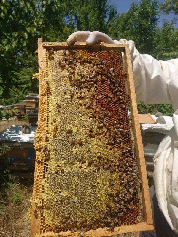 ��������� ��������� ��������