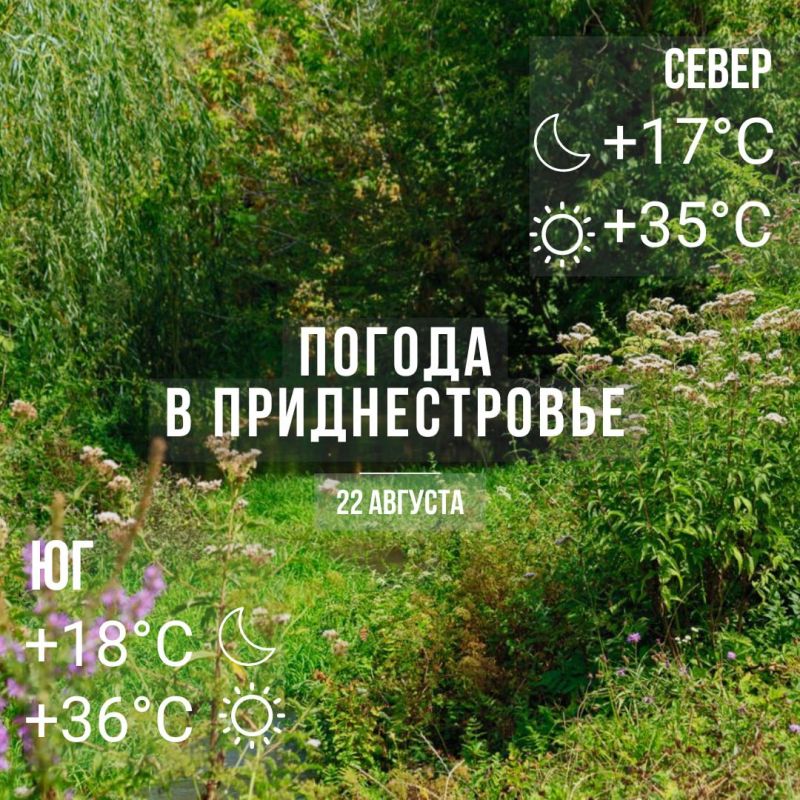 ���� � �� +36��. ������� �����, �������� �����