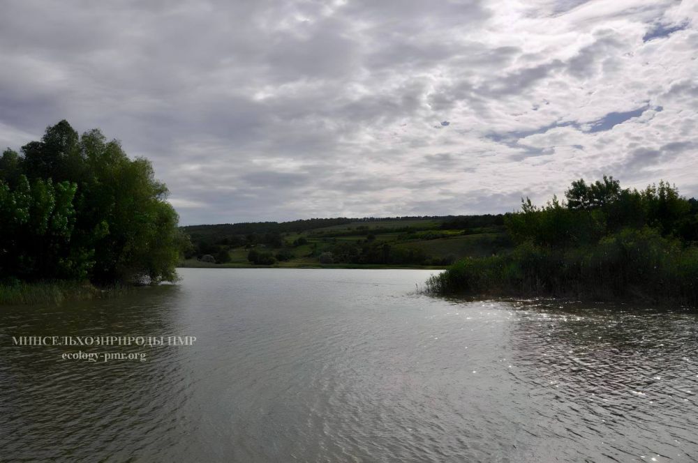 � 23 �� 25 ������� ������� ���� � ������� ��������� �� 0,6-1.2�