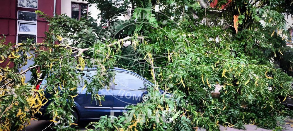 � ��������� ����� �������� ����� �� ������