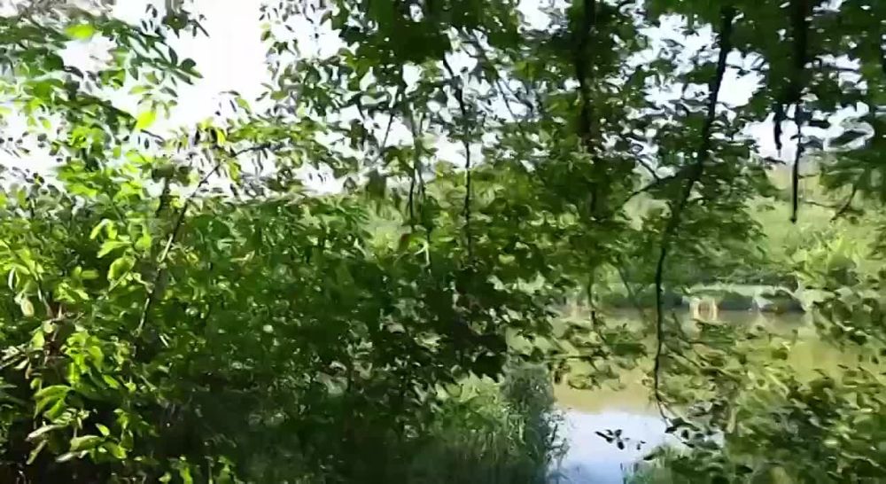 ����� � ������������ ������� �� ������