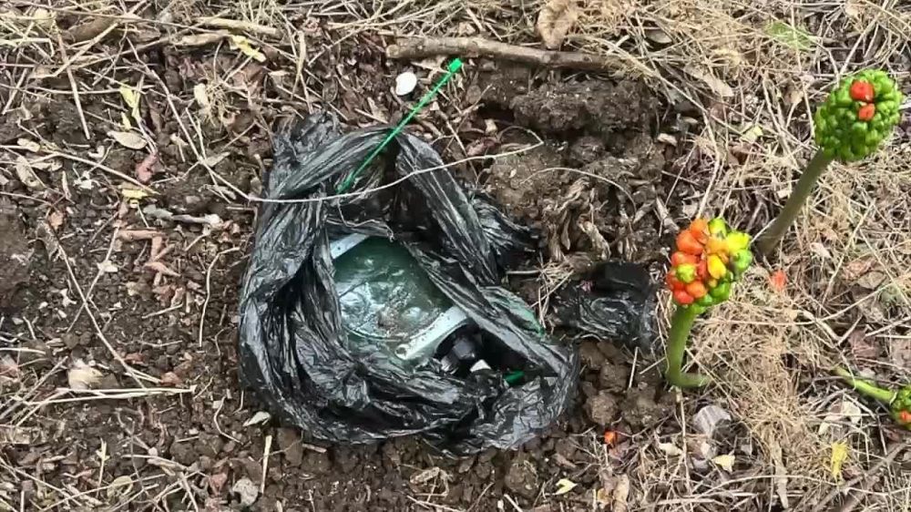 ��� ����� ��������� �������, ����������� ����������� ������������ � �����