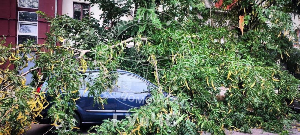 ����� �������� ����� �� ������