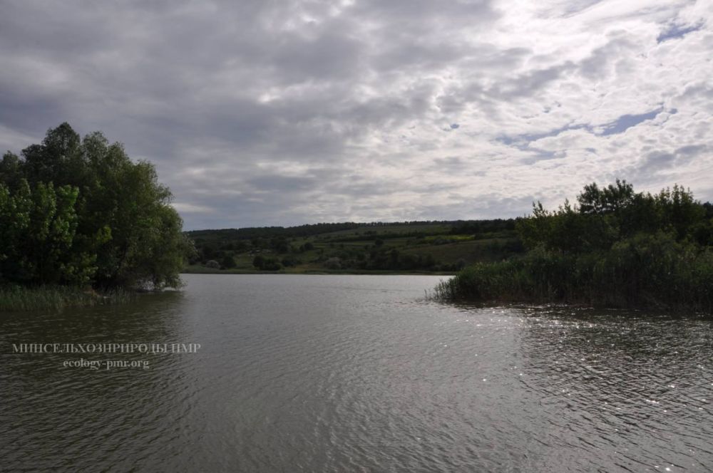 ��������������� ������� �� ������ �� 22 ������� 2024�