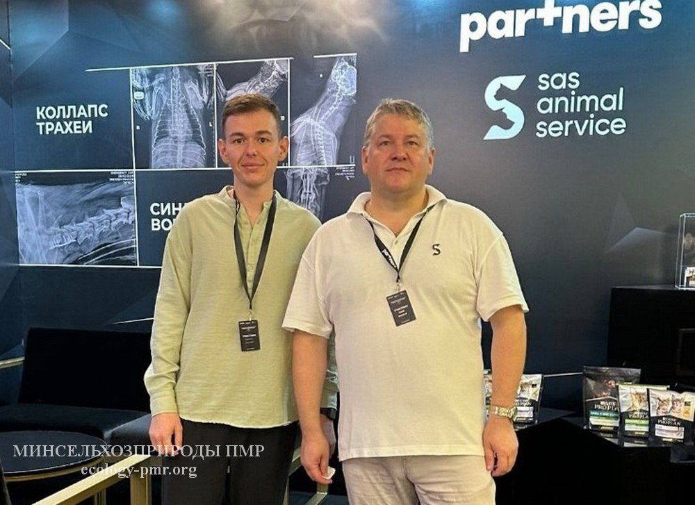 ��������������� ���������� ��������� � ������ � ������������ �����������