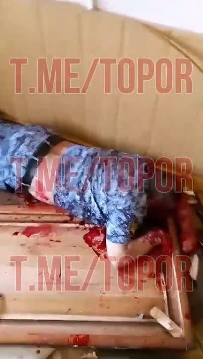 ��������� ������� ��������� �� �19 � ������������� �������